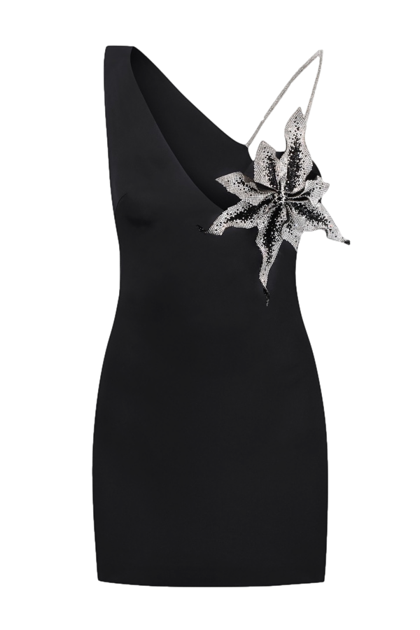 Shop Nué Orchid Dress In Black