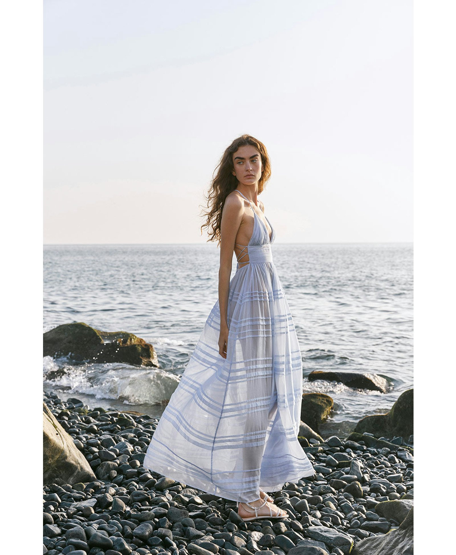 Delphinium made by YVON