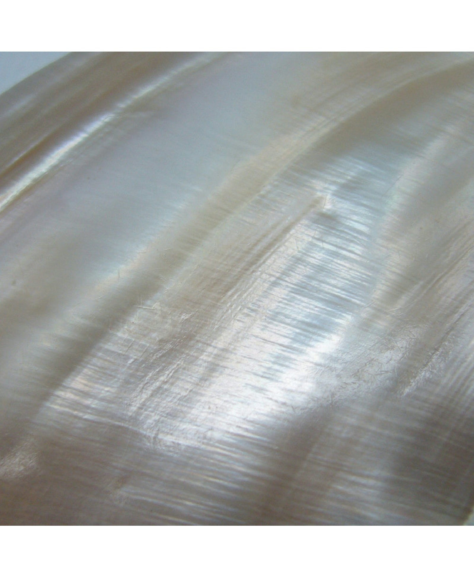 Aros Sadie Pearl made by Lavani Jewels