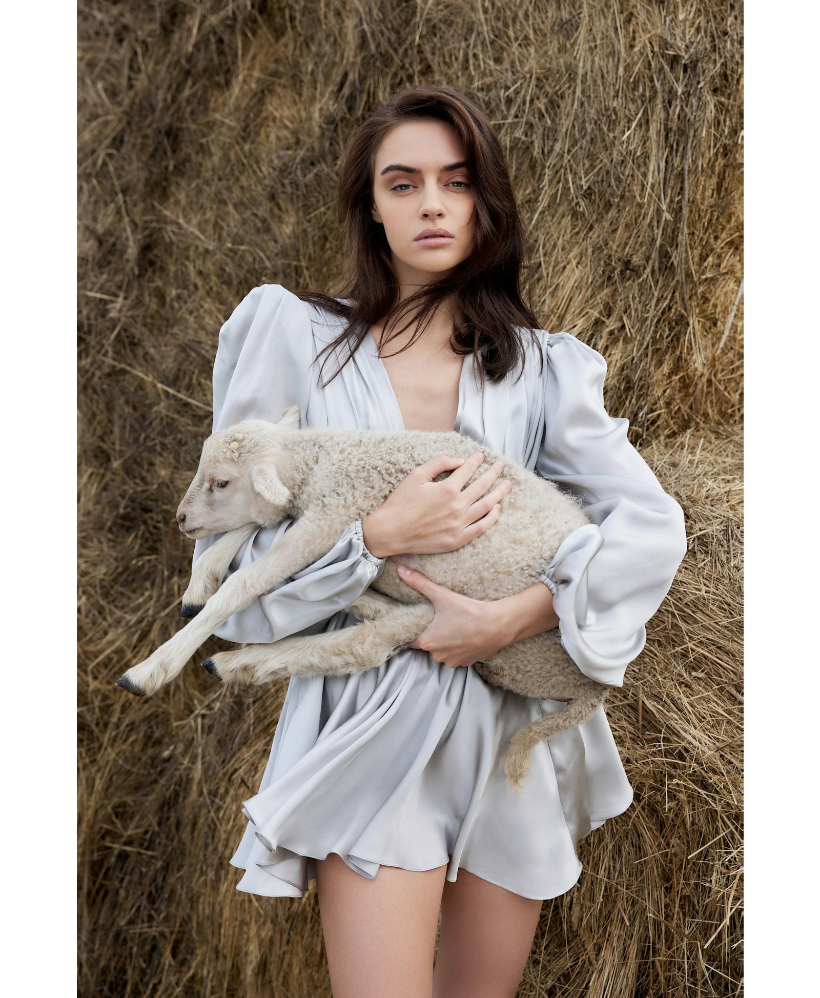 Ancolie made by YVON