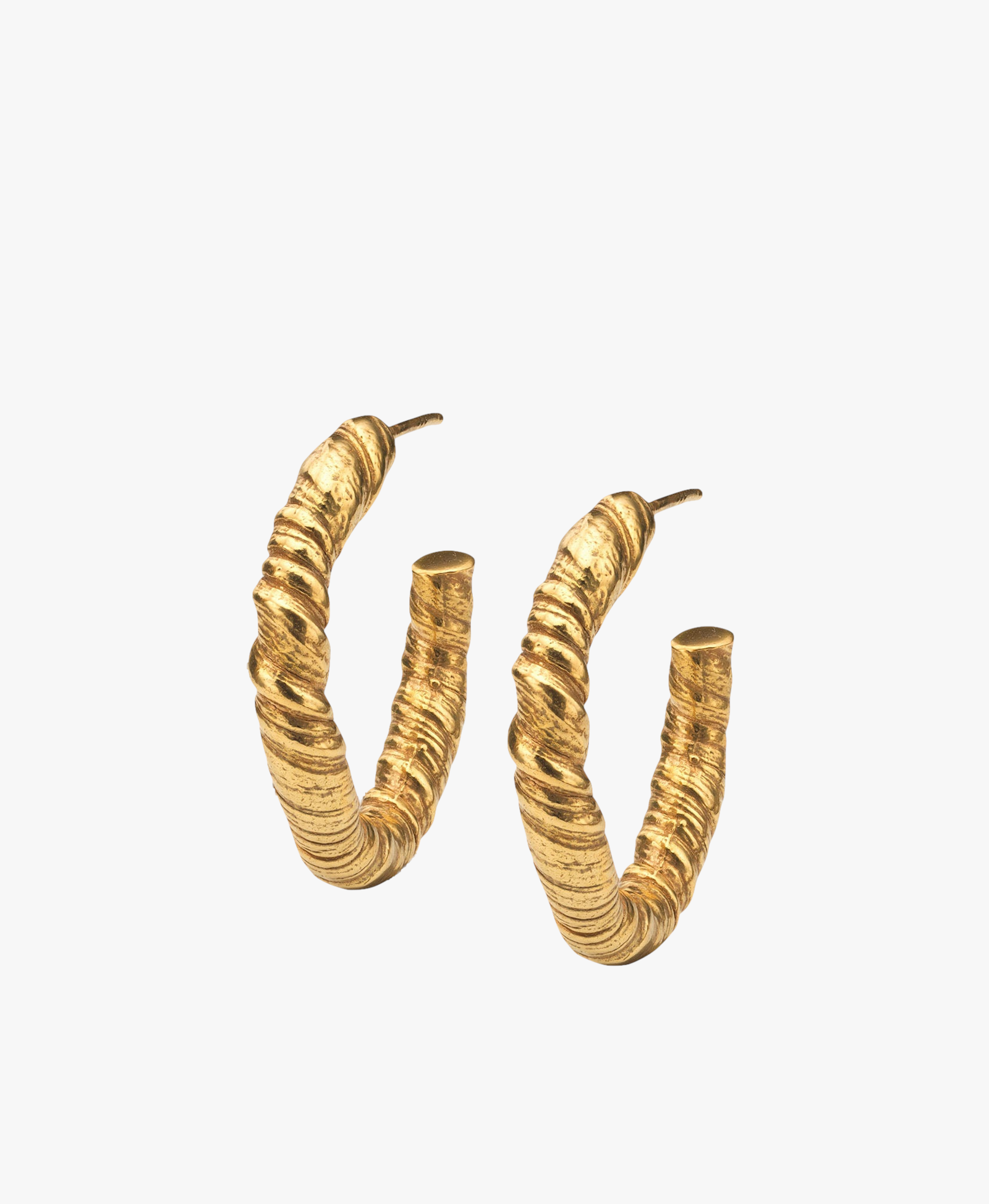 Nautilus Hoop Earrings Gold in Gold made by Eva Remenyi