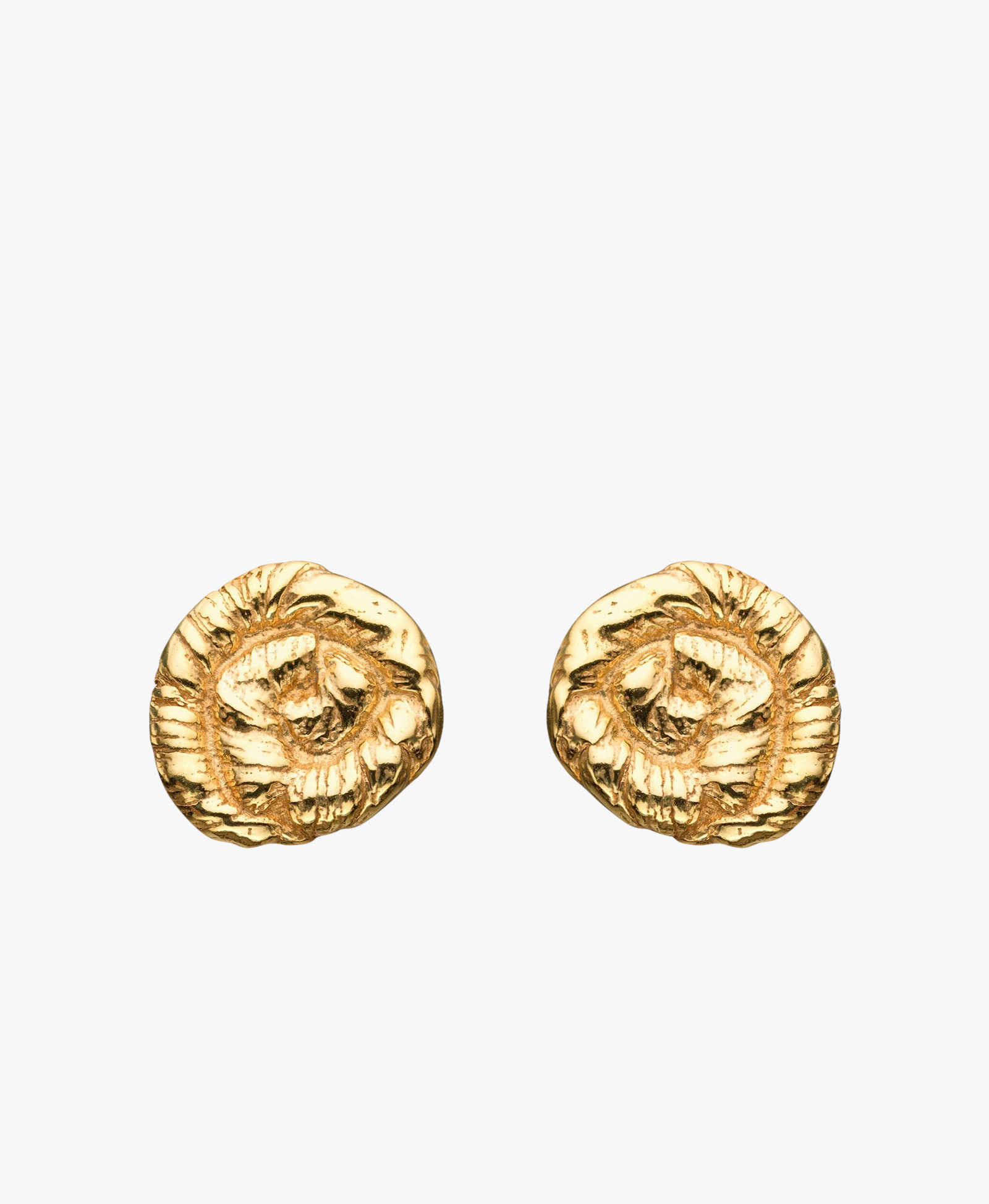 Nautilus Earrings Gold in Gold made by Eva Remenyi