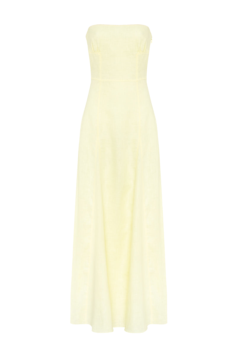 Shop Tamar Keburia Maxi Boned Dress In Yellow