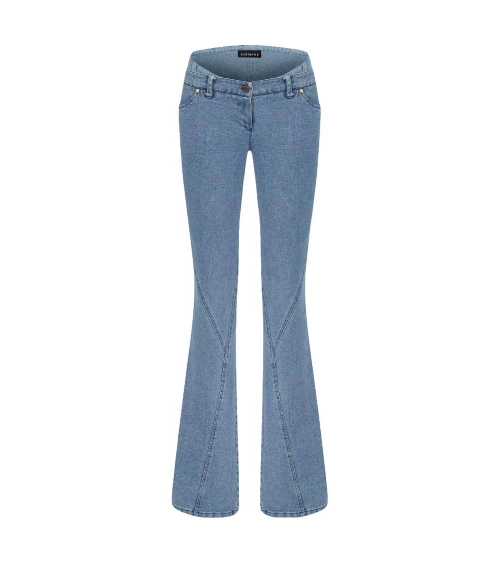 Lowrise Denim Pants