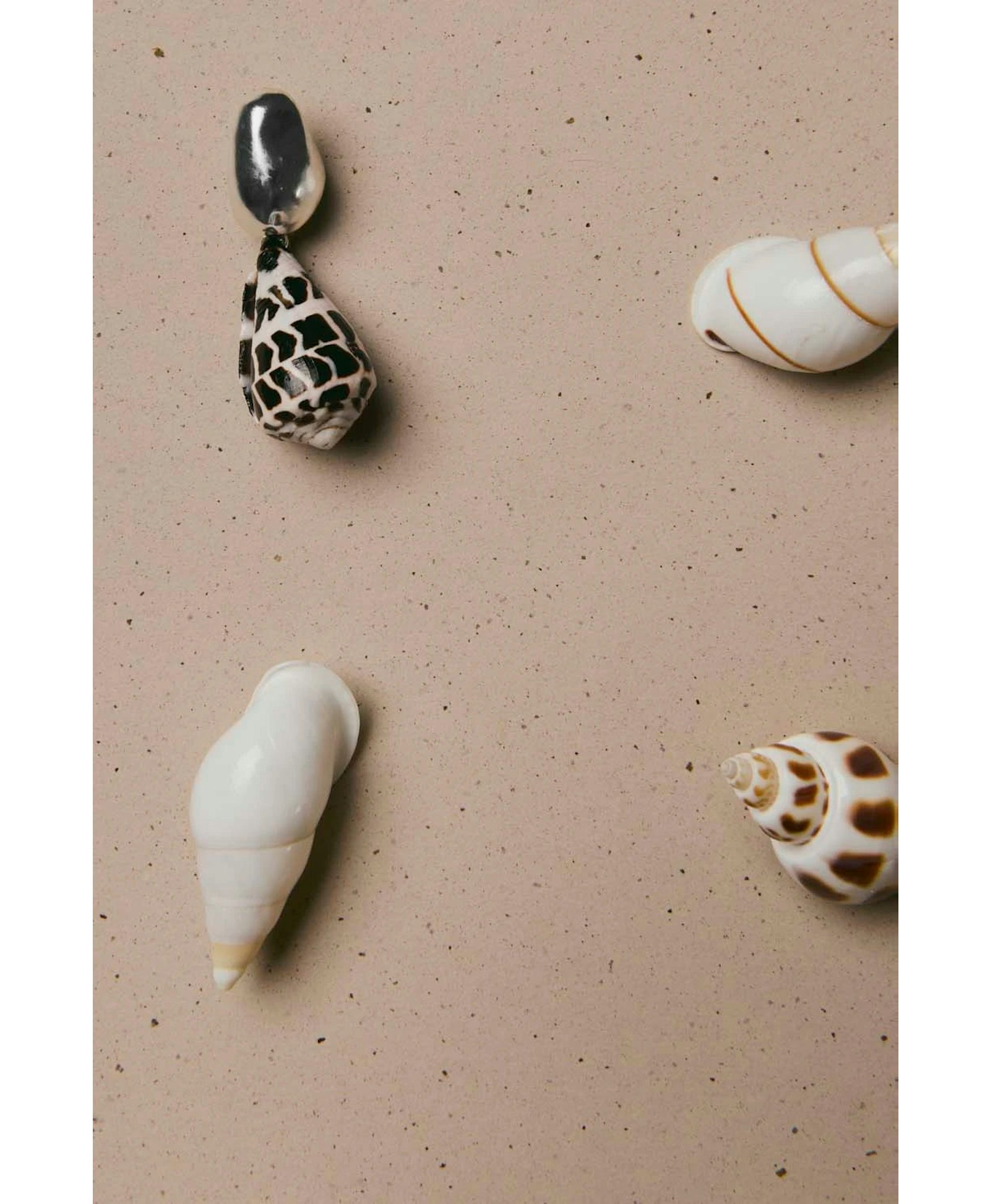 Nassa Earrings made by BAOBAB