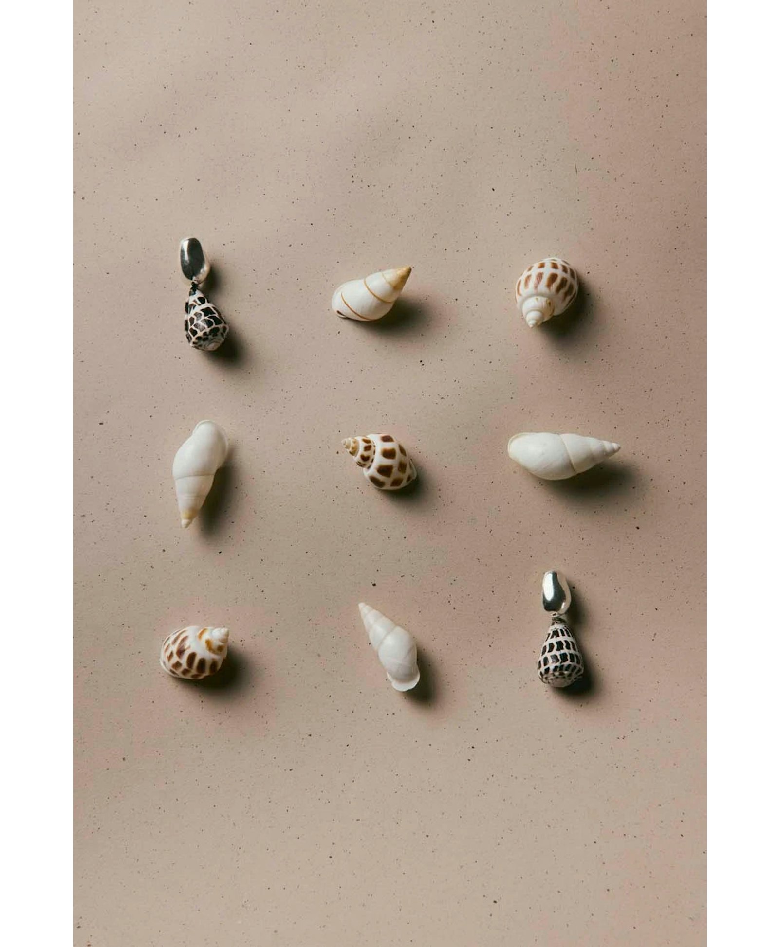 Nassa Earrings made by BAOBAB