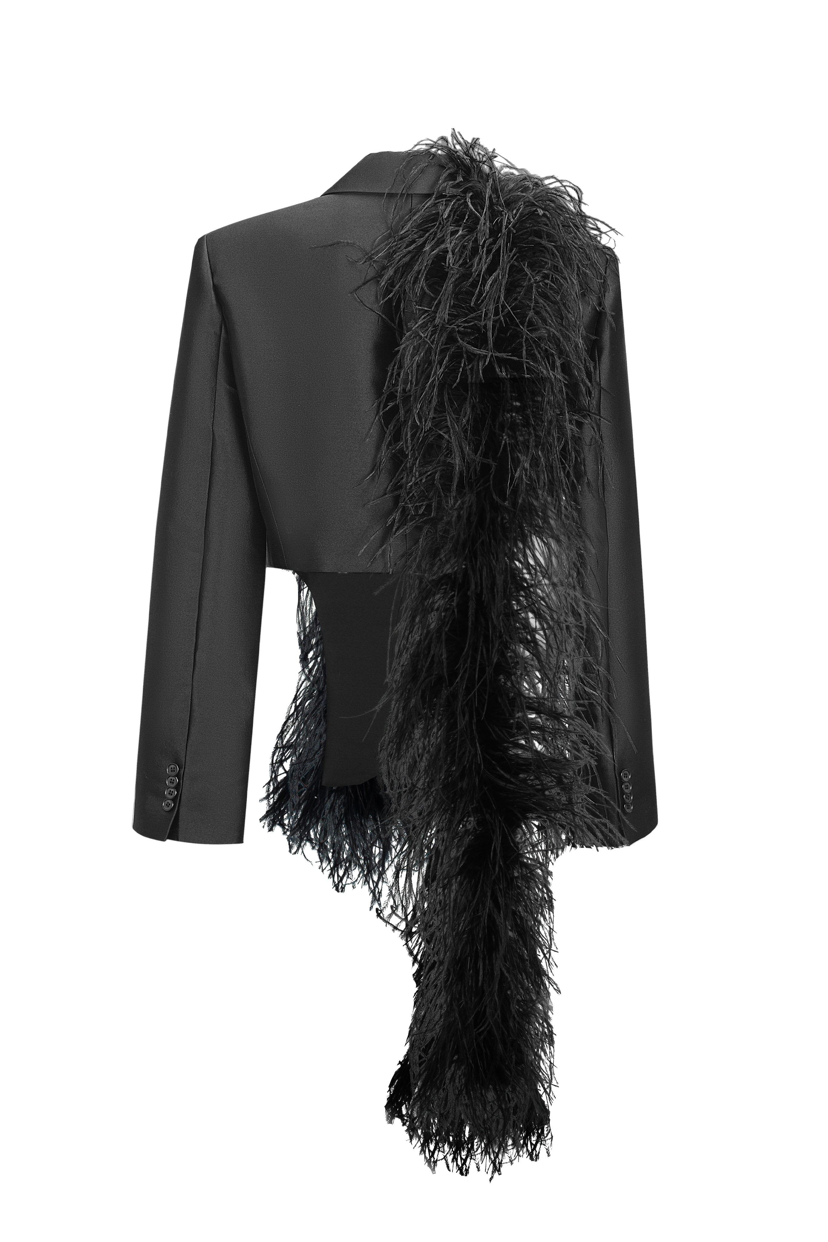 Shop Santa Brands Jacket With Feathers In Black