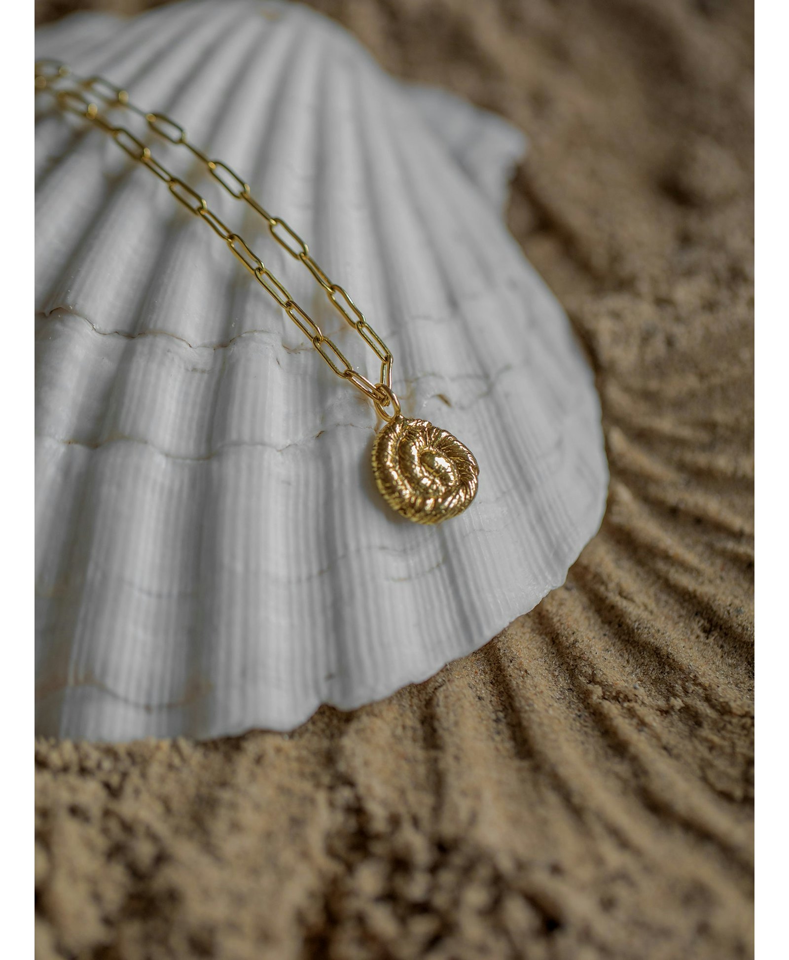 Nautilus Pendant Necklace Gold in Gold made by Eva Remenyi