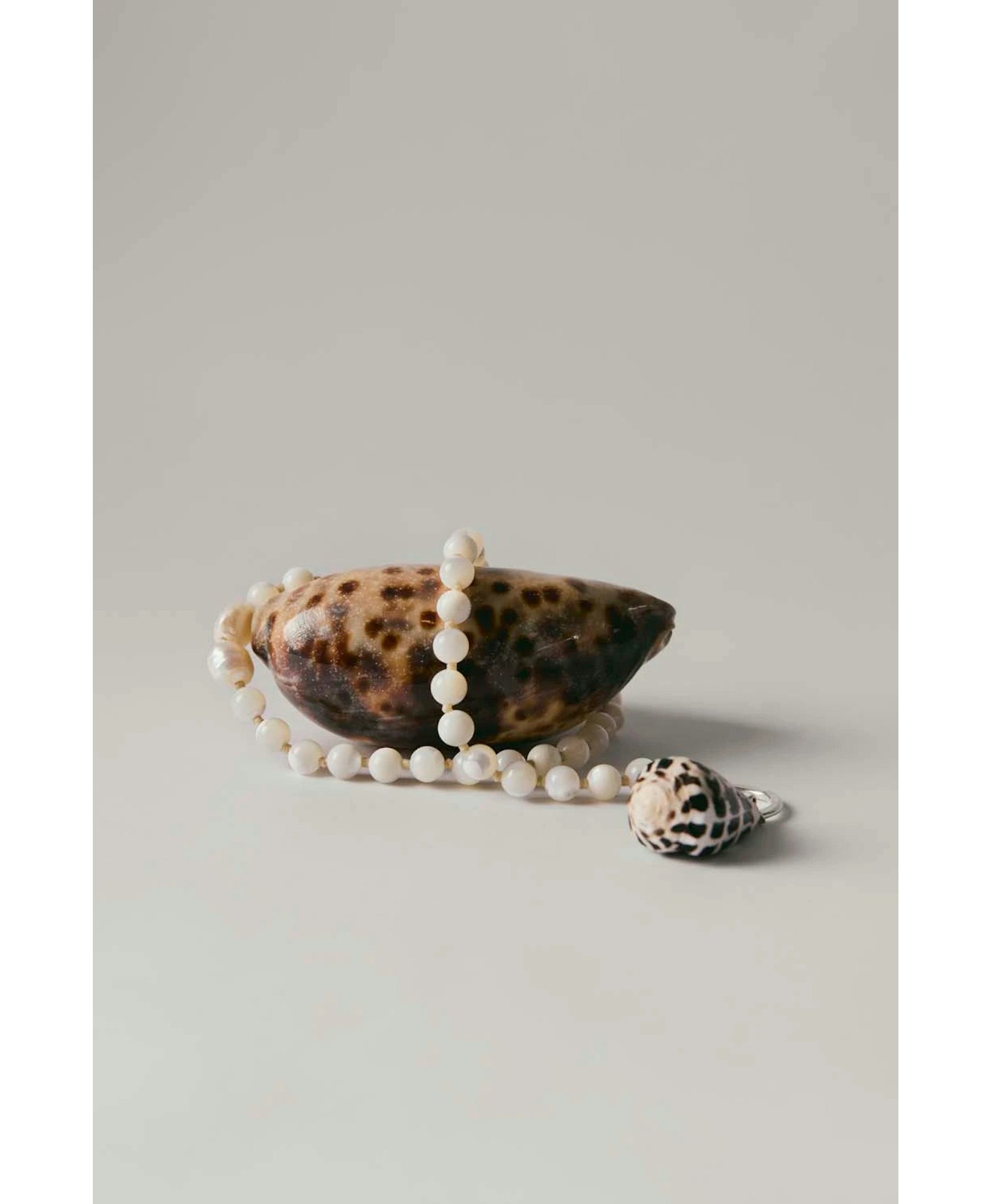 Nassa Necklace made by BAOBAB