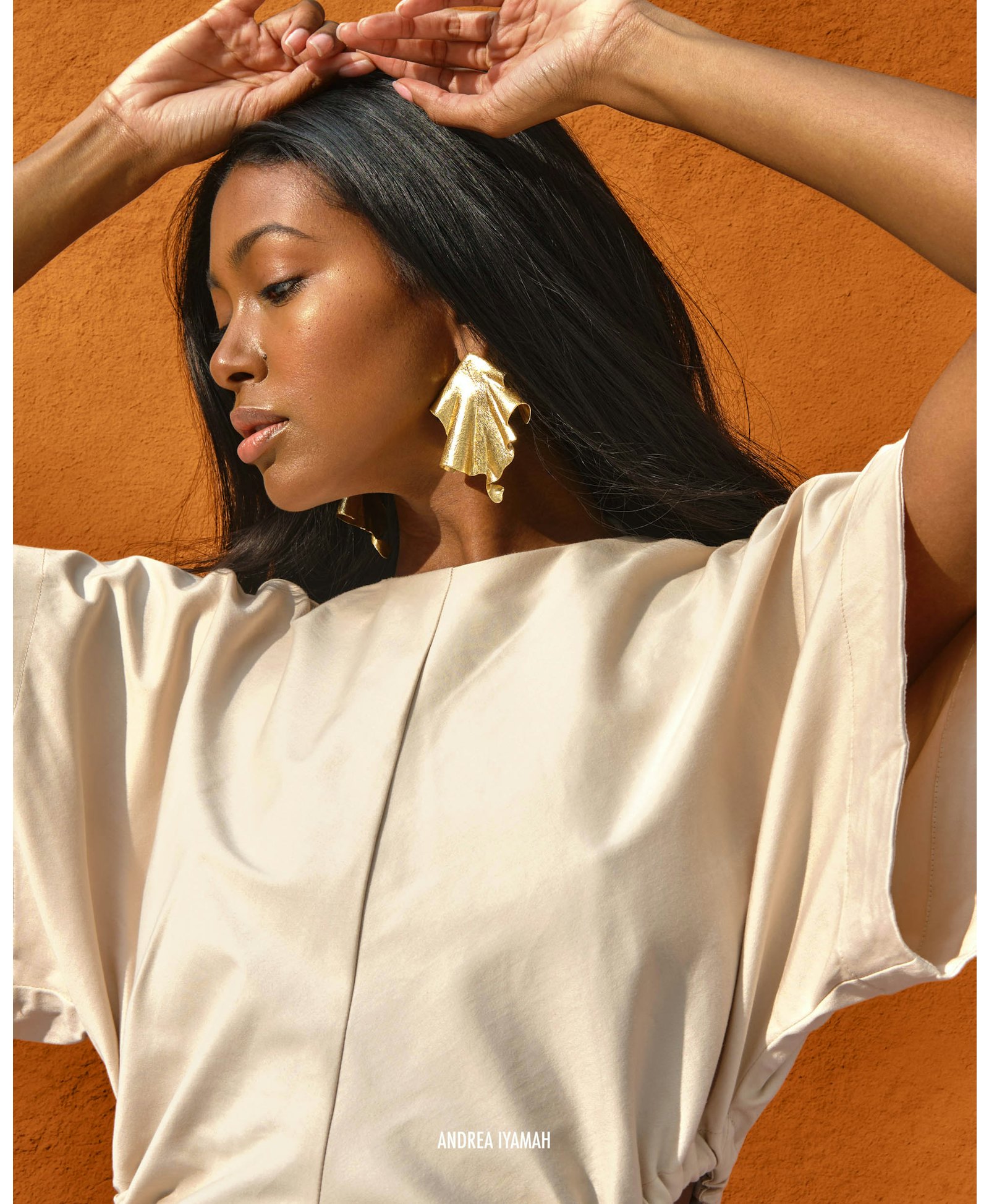 PETA DRESS made by Andrea Iyamah