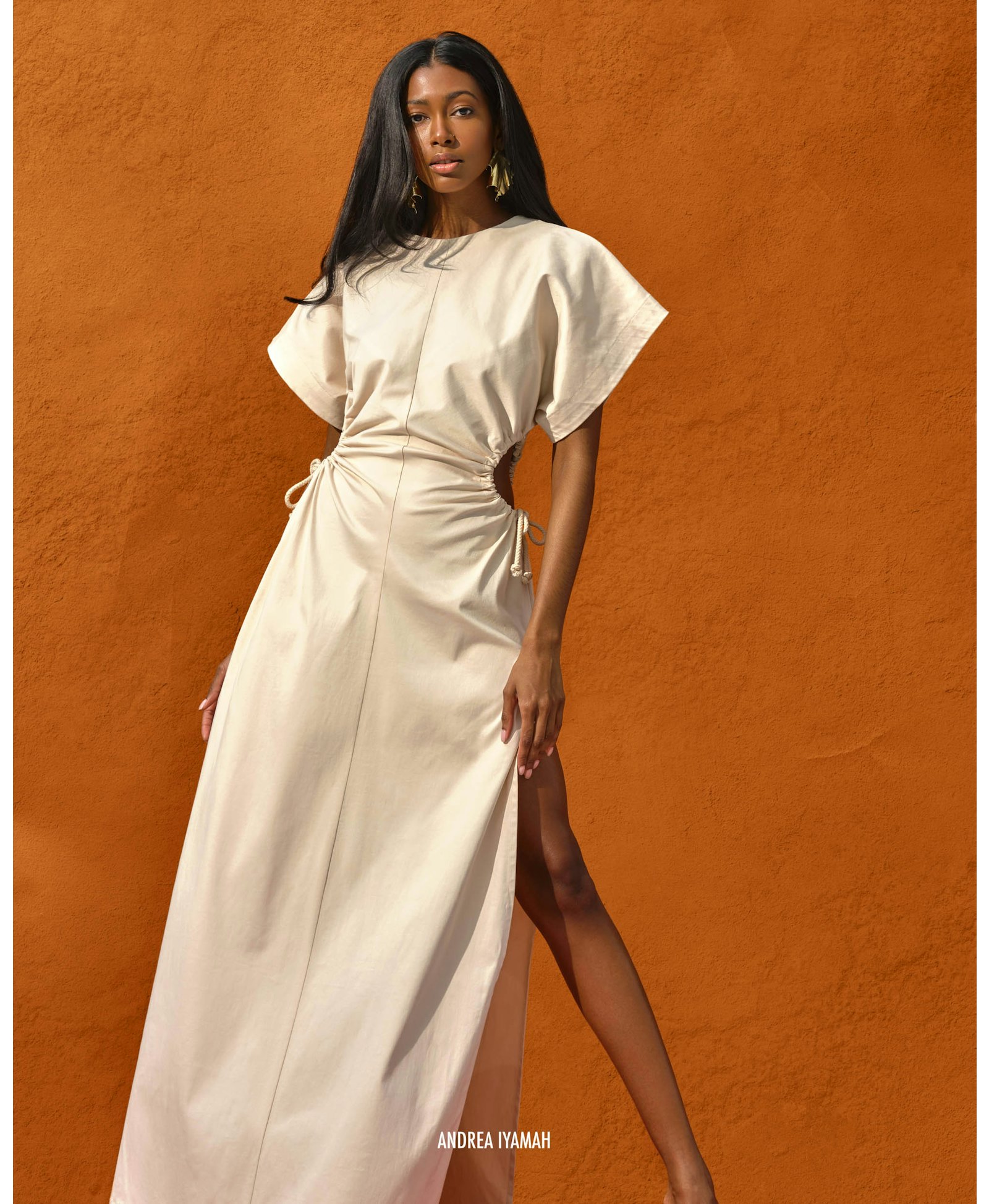 PETA DRESS made by Andrea Iyamah